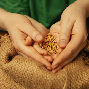 Zakat al-Fitr Donation